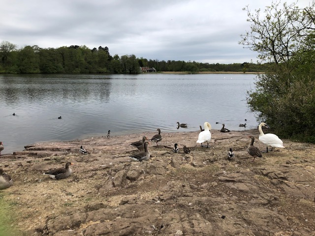 Groby Pool